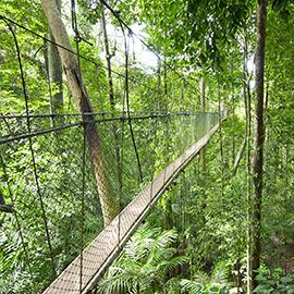 Filets pour parcours accro-branche - tous types disponibles_1