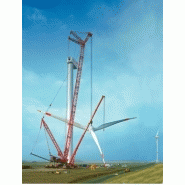 Lr 11350 grue sur chenilles_1