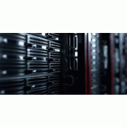 Western Digital Red WD142KFGX disque dur 14 To 7200 tr/min 512 Mo 3.5