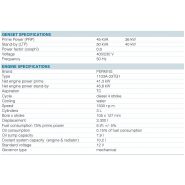 PE0045SWD - Groupes électrogènes industriel - Ausonia - Moteur Perkins 45 KVA_1