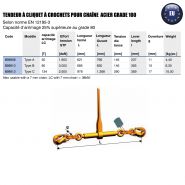 Tendeur d'arrimage - Berra MS - à cliquet à crochets pour chaîne grade 100 - Archta16_1