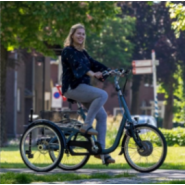 Tricycle Maxi Van Raam - Tricycle Individuel avec Options Personnalisables_1