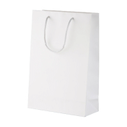 Sac boutique en papier sur mesure - poignées en polypropylène - impression offset couleurs - minimum 500 pièces_1