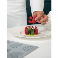 Coral - Moule en silicone Gourmand Horeca Pavoni Italia - 8 empreintes_1