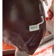 Scellé de sécurité en plastique type cadenas - Hand-Lok - Precintia, polypropylène, marquage laser ou jet d'encre_1