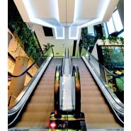 KEC Heavy Duty Escalier Mécanique - Kleemann - 0,5 m/s_1