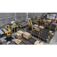 Robot palletiseur centralisé multi-lignes - MULTIPAL®