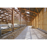 Bâtiment pour vaches allaitantes, sur mesure en bois - Stabulation libre, en aire paillée, en caillebotis, ou mixte_1