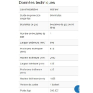 165305W - Armoire de sécurité coupe-feu G90.6 pour bouteilles de gaz - Norme EN 14470-2_1