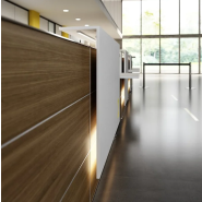 Banque d'accueil classique et fonctionnelle pour espaces professionnels_1