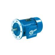 Moteur ATEX - NORD - 0,12 à 22 kW - Protection contre les explosions de poussières - Zones 21 et 22_1