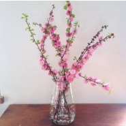 Bocaux en verre WECK Corolle® 2700 ml - Ø 100 mm - avec couvercles en verre et joints (clips non inclus) - WN000020_1