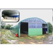 Tunnel d'élevage de 12.80m de large pour  tout type de production bovine_1