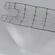 Polycarbonate emboîtable_1