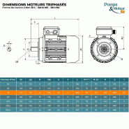 Moteur électrique Triphasé 230/triphasé 400v 0,75 Kw 3000 Tr/min  - Ms7132b14 Bride B14 - Bobinage Cuivre_1