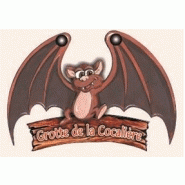 Magnet publicitaire personnalisable - Modèle chauve-souris en MDF avec impression quadrichromie_1