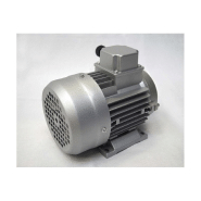 Moteur électrique triphasé 230/400V - 0.55kW - 3000tr/min - Bride B3 à pattes - ALMO IP55_1