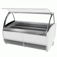 Vitrine de présentation glacier 1.9 m - 20 bacs_1