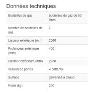 116955W - Armoire pour 7 bouteilles de gaz de 50L - acier galvanisé et antivol_1