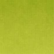 Nappe pré-découpée intissé vert lime 42 formats 1,20x50,4m - par 1_1