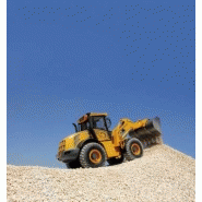 Chargeuse VF 13.63 Venieri - 14 600 Kg - Hydrostatique - 177 Cv_1