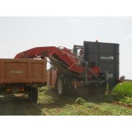 Arracheuse par préhension ZKIIISE - Dewulf BV - productivité 4 à 5 ha/j - largeur 4127 mm - 3 rangs avec tapis à tétines_2