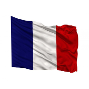 Drapeau France - Base polyester 3 fils - 115 g/m² - Fabriqué en France_1