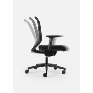 Fauteuil ergonomique BL_1