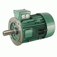Moteurs asynchrones triphasés LSES - Haut rendement IE2 et Premium IE3 - Carcasse aluminium - 0.75 à 200 kW_1