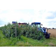 Récolteuse à framboises et myrtilles karen - weremczuk - puissance minimale requise 68 hp - capacité de charge 760 kg_1