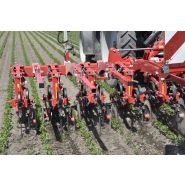 Bineuse avec dent vibro pour régulation des adventices