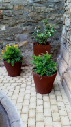 Jardinière en béton Malva CO50 - CO60 - CO80 - CO4080 - CO50110 - PI50 - PI90 - PI6025 - PI8040 - PI9840_1
