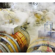 Outil pour nettoyage vapeur de tonneaux et fûts de vin_1