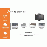 Abri de jardin plat - 275x315x222_1