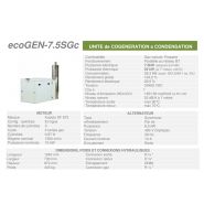 Ecogen-7.5SGc - Unité de cogénération à condensation - Cogengreen - 7,5 kW électriques (secours 6,0 kW)_1