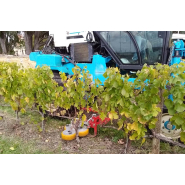 Tondeuse interceps - Vignes Basses_1