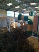 Brosse automatique pour vaches - montée sur parallélogramme - Agriest_1