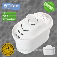 L-PF601B1 - Cartouches filtrantes d'eau WellBlue - Carbone actif et résine d'échange ionique - 6 à 8 semaines d'utilisation_1