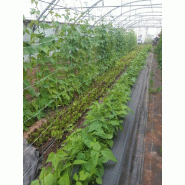 Filet à ramer bio* - 15x15 cm, 1.85x250 m_1