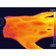PI450I | Caméra thermique 382 x 288 px px haute résolution 40 mK -20 °C à 1 500°C 80 Hz_1