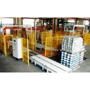 Ap EC 20 Pantograph - Palettiseur automatique à tête mobile pour boîtes vides - Clevertech France_1