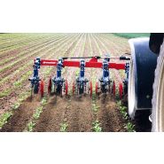 Bineuse spéciale betterave - Thomas Hatzenbichler Agro-Technik - barre profilée avec montage 3 points et disques stabilisateurs montés sur roulements à billes_1