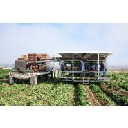 Grand récolteuse autotractée sur chenilles 9200 Lattuga - Ortomec SRL - moteur turbo-diesel 74 CV - personnalisable pour laitues pommées_1