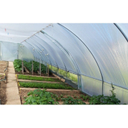 Serre horticole par excellence - BRETAGNE_2