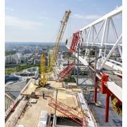 200 DR 5/10 Litronic Derrick - Grue à tour Liebherr - Capacité max. 10 600 kg - Portée max. 24,80 m_1