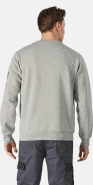 Sweat-shirt OKEMO homme (SH3014) - Réf: DK0A4XTU - Dickies - Confortable et résistant_1