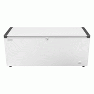 Congélateur coffre professionnel à couvercle battant Blanc - 542 L | Liebherr - EFL6055_1