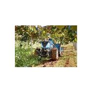 T4.80FL tracteur agricole - New Holland - 75 kW/107 ch - centre de gravité bas pour terrains irréguliers_1