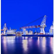 BOS 35000 - Grue portuaire offshore Liebherr - Capacité de levage max 1 250 t - Portée 102 m_1