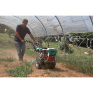 Motoculteur réversible, multifonctionnel à embrayage hydro mécanique - ferrari 328 powersafe®_1